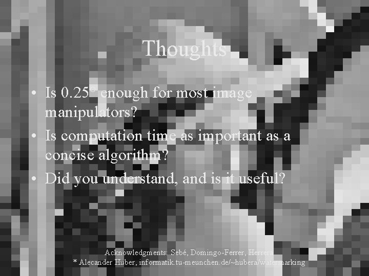 Thoughts • Is 0. 25° enough for most image manipulators? • Is computation time