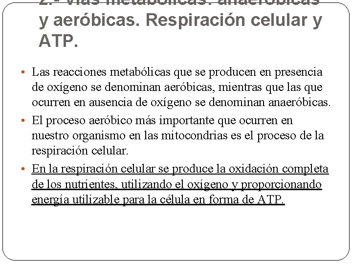 2. - Vías metabólicas: anaeróbicas y aeróbicas. Respiración celular y ATP. • Las reacciones