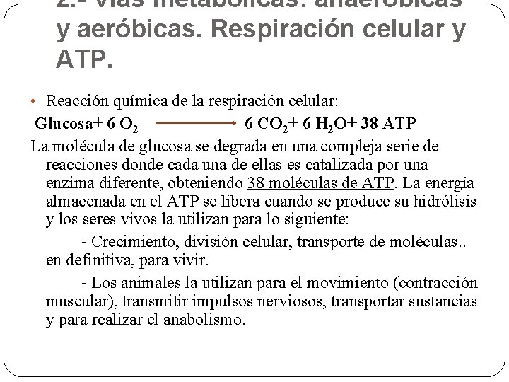 2. - Vías metabólicas: anaeróbicas y aeróbicas. Respiración celular y ATP. • Reacción química