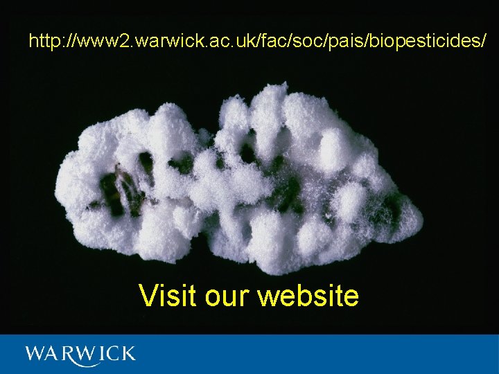 http: //www 2. warwick. ac. uk/fac/soc/pais/biopesticides/ Visit our website 9/10/2020 16 