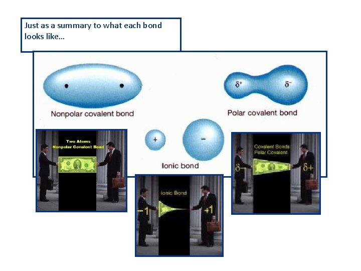 Just as a summary to what each bond looks like… 