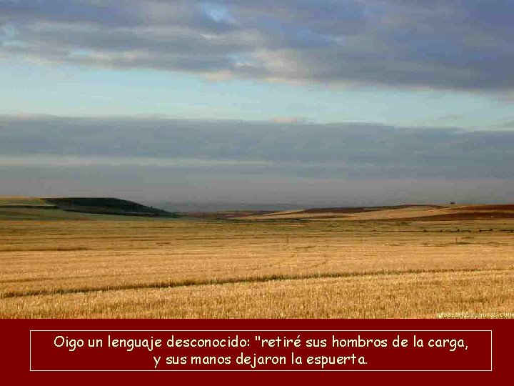 Oigo un lenguaje desconocido: "retiré sus hombros de la carga, y sus manos dejaron