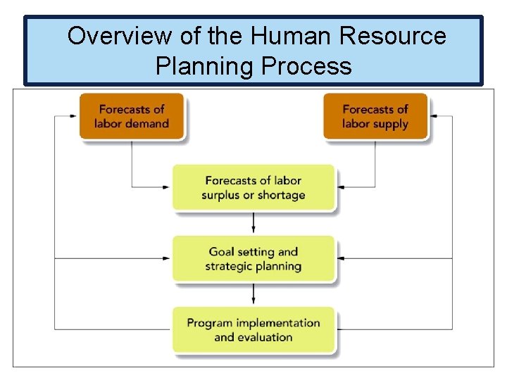 Overview of the Human Resource Planning Process 