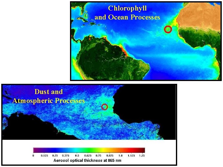 Chlorophyll and Ocean Processes Dust and Atmospheric Processes 