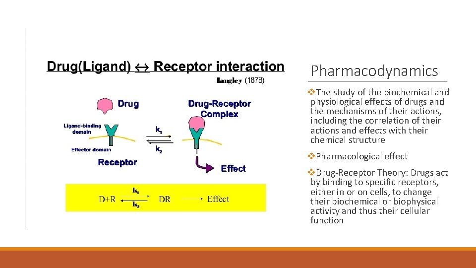 Pharmacodynamics v. The study of the biochemical and physiological effects of drugs and the