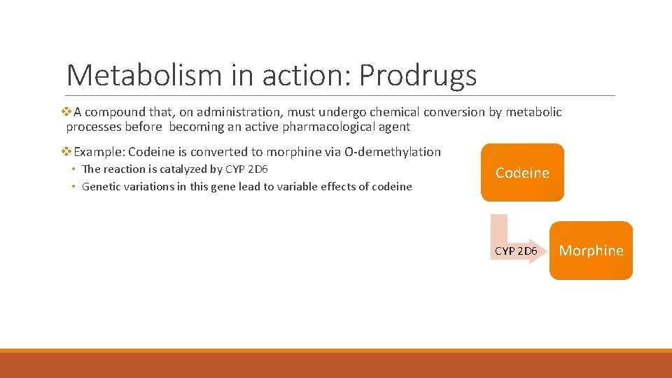 Metabolism in action: Prodrugs v. A compound that, on administration, must undergo chemical conversion