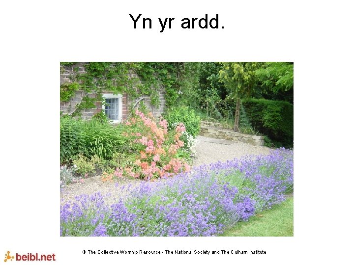 Yn yr ardd. © The Collective Worship Resource - The National Society and The