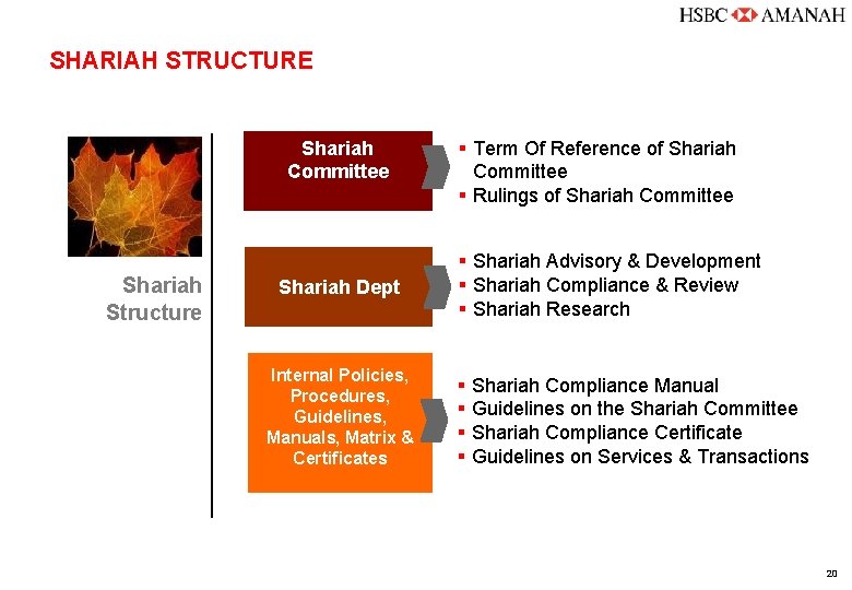 SHARIAH STRUCTURE Shariah Committee Shariah Structure Shariah Dept Internal Policies, Procedures, Guidelines, Manuals, Matrix