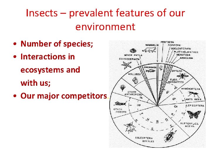 Insects – prevalent features of our environment • Number of species; • Interactions in