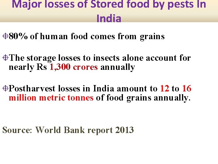 Major losses of Stored food by pests In India 80% of human food comes