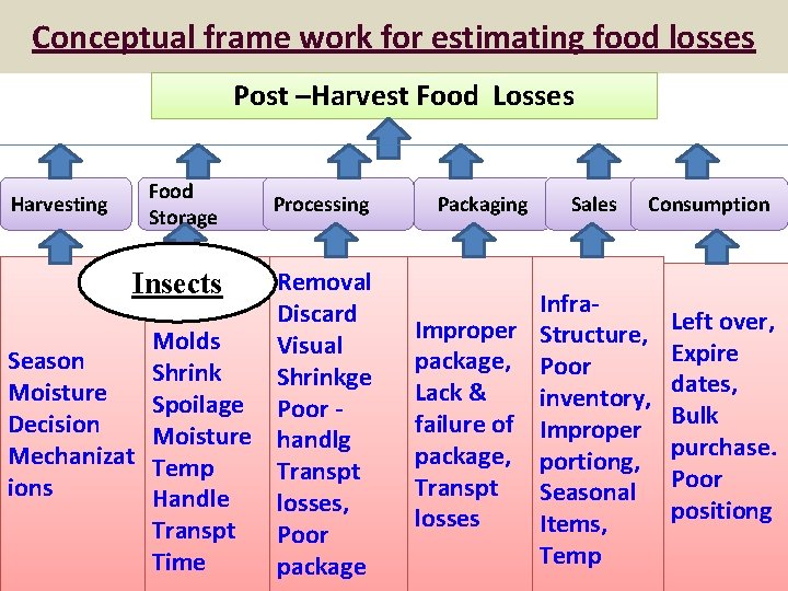 Conceptual frame work for estimating food losses Post –Harvest Food Losses Harvesting Food Storage