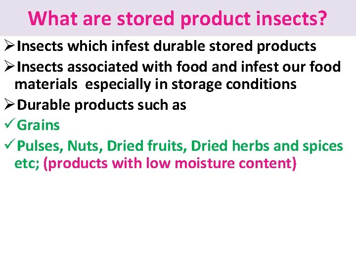 What are stored product insects? ØInsects which infest durable stored products ØInsects associated with