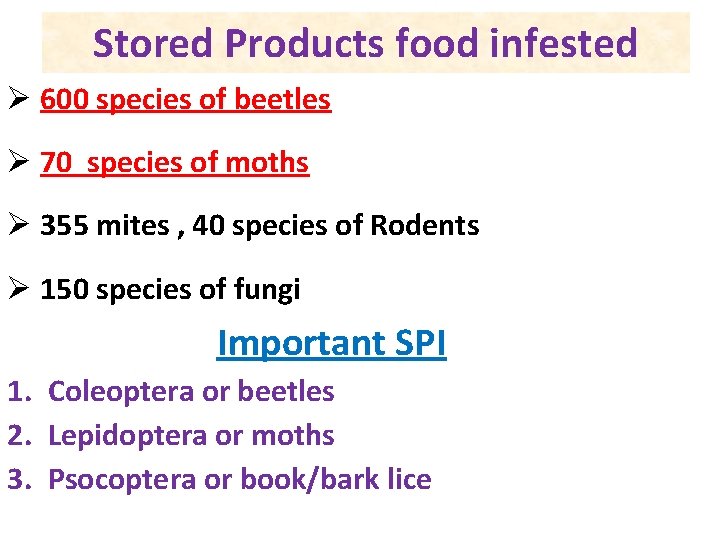 Stored Products food infested Ø 600 species of beetles Ø 70 species of moths