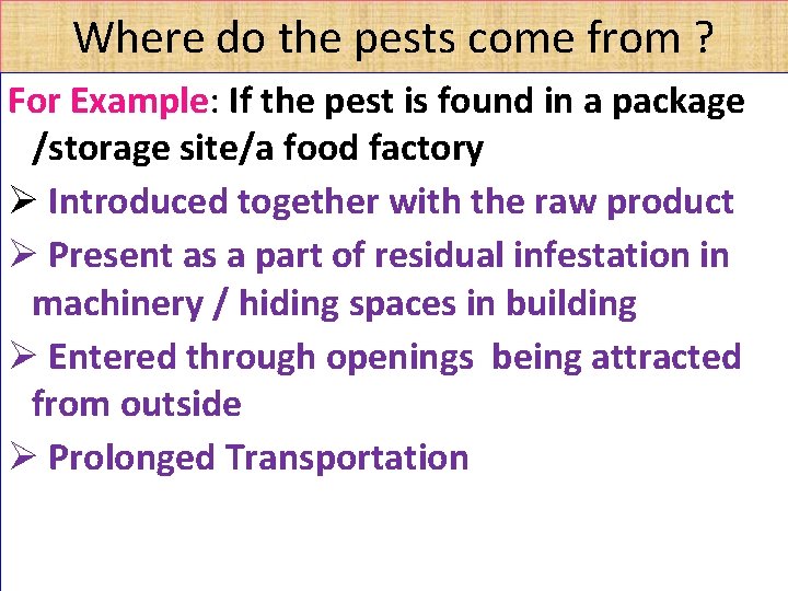 Where do the pests come from ? For Example: If the pest is found