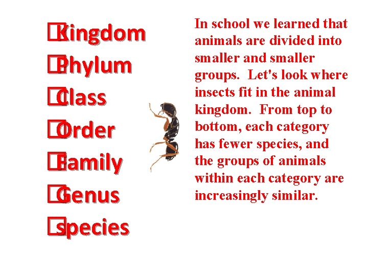 � Kingdom � Phylum � Class � Order � Family � Genus � species