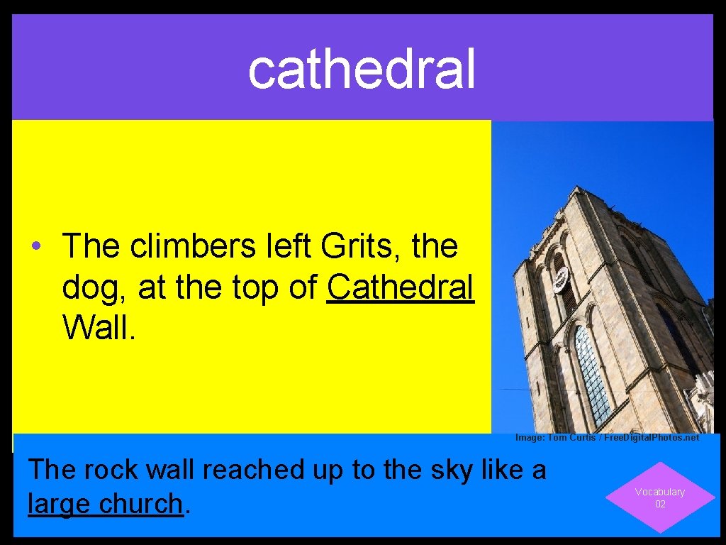 cathedral • The climbers left Grits, the dog, at the top of Cathedral Wall.