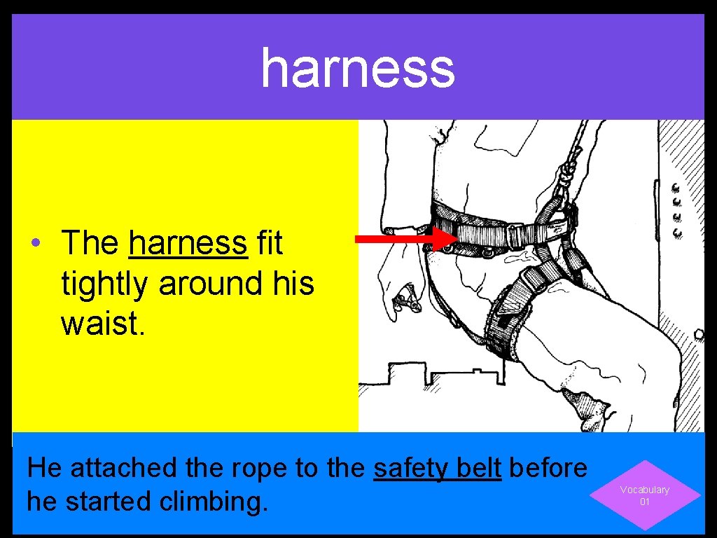 harness • The harness fit tightly around his waist. He attached the rope to