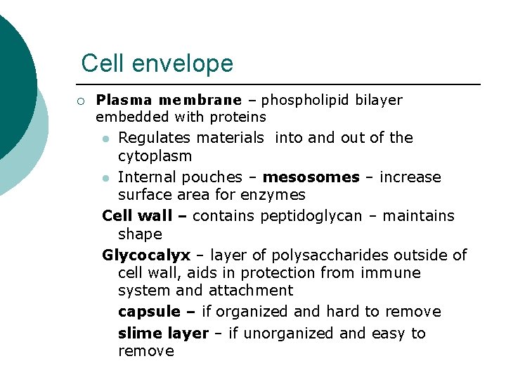Cell envelope ¡ Plasma membrane – phospholipid bilayer embedded with proteins Regulates materials into
