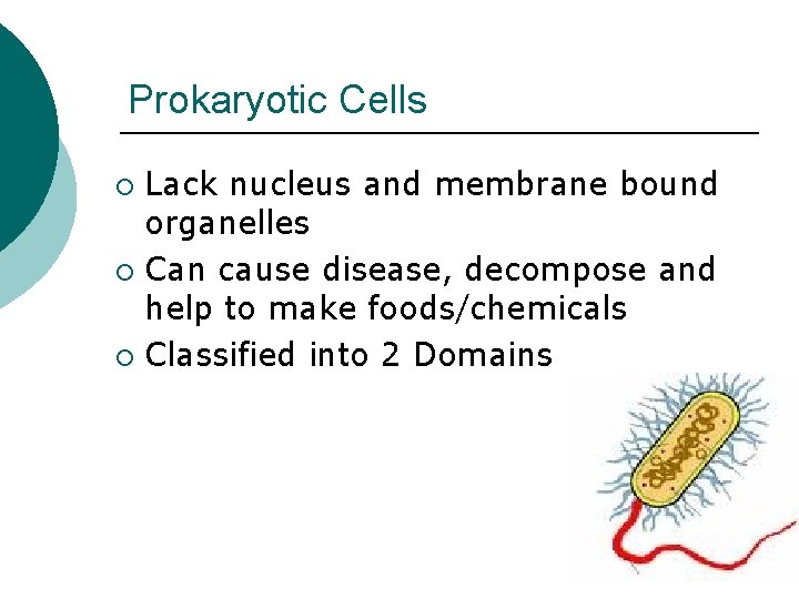 Prokaryotic Cells Lack nucleus and membrane bound organelles ¡ Can cause disease, decompose and