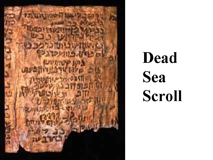 Dead Sea Scroll 