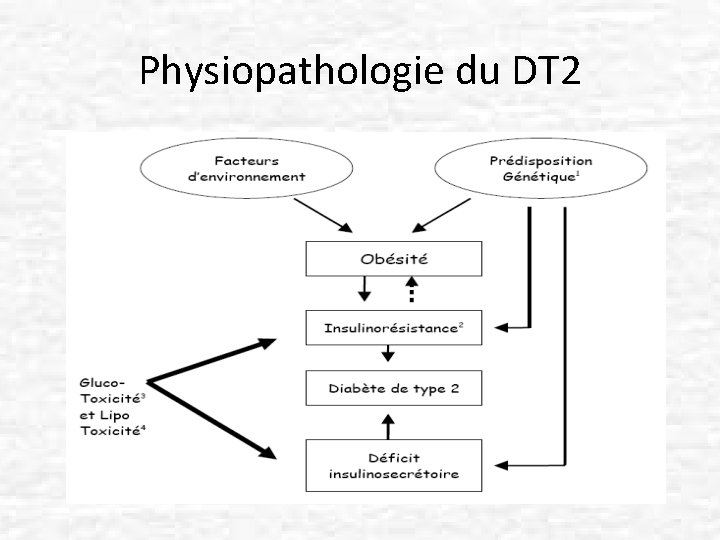 Physiopathologie du DT 2 