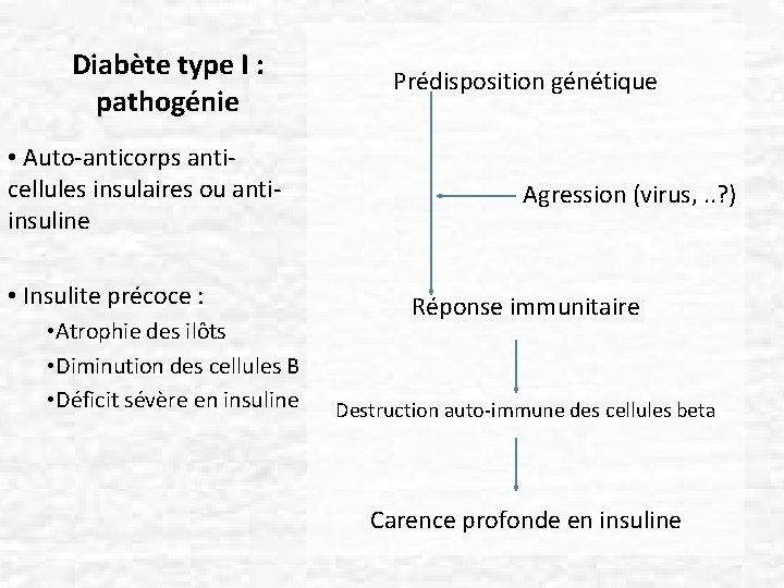 Diabète type I : pathogénie • Auto-anticorps anticellules insulaires ou antiinsuline • Insulite précoce