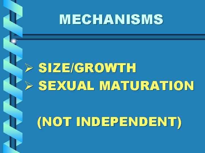 MECHANISMS Ø SIZE/GROWTH Ø SEXUAL MATURATION (NOT INDEPENDENT) 