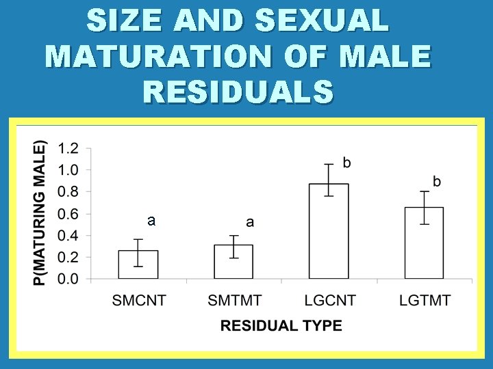 SIZE AND SEXUAL MATURATION OF MALE RESIDUALS a 