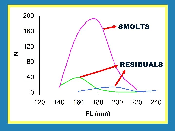 SMOLTS RESIDUALS 