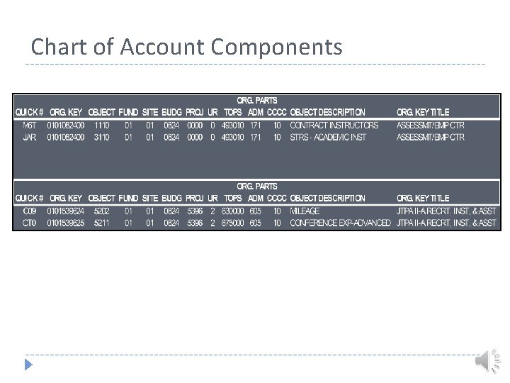 Chart of Account Components 