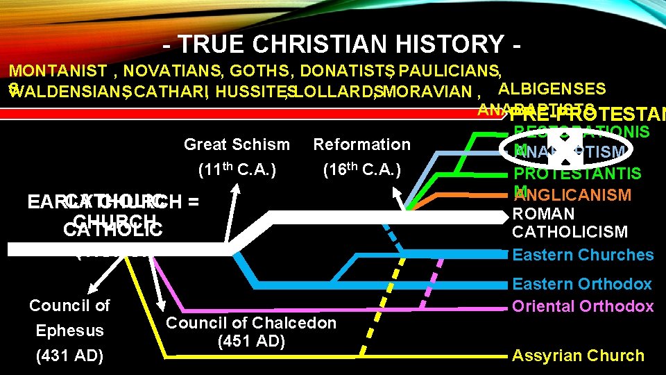 - TRUE CHRISTIAN HISTORY - MONTANIST , NOVATIANS, GOTHS, DONATISTS, PAULICIANS, S WALDENSIANS, CATHARI,