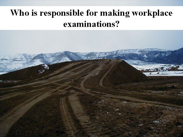 Who is responsible for making workplace Daily Workplace Examinations examinations? 