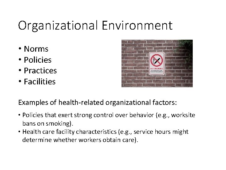 Organizational Environment • Norms • Policies • Practices • Facilities Examples of health-related organizational