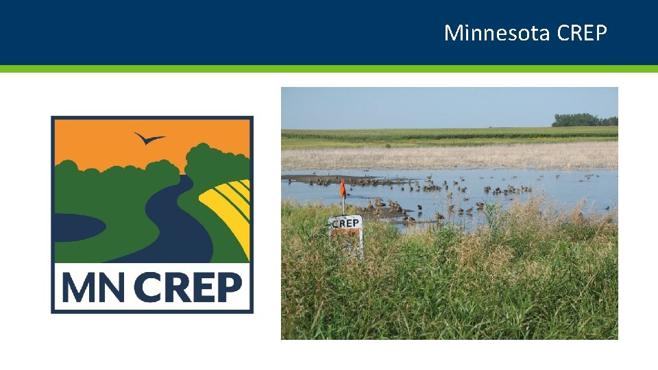 Minnesota CREP 