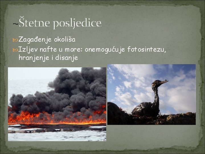 ~Štetne posljedice Zagađenje okoliša Izljev nafte u more: onemogućuje fotosintezu, hranjenje i disanje 