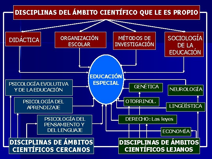 DISCIPLINAS DEL ÁMBITO CIENTÍFICO QUE LE ES PROPIO DIDÁCTICA ORGANIZACIÓN ESCOLAR PSICOLOGÍA EVOLUTIVA Y