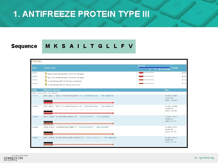 1. ANTIFREEZE PROTEIN TYPE III Sequence M K S A I L T G