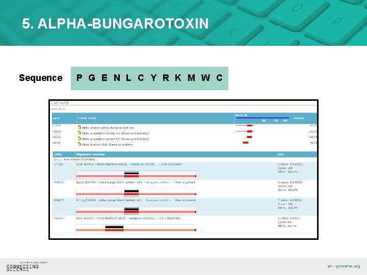 5. ALPHA-BUNGAROTOXIN Sequence P G E N L C Y R K M W