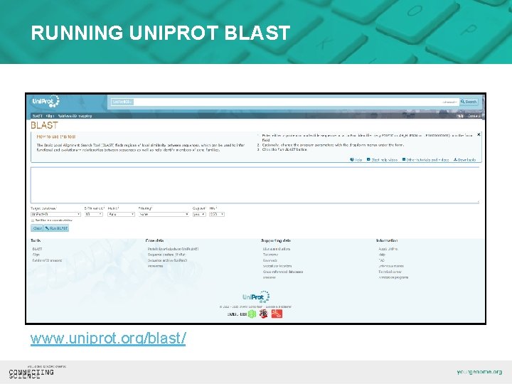 RUNNING UNIPROT BLAST www. uniprot. org/blast/ 
