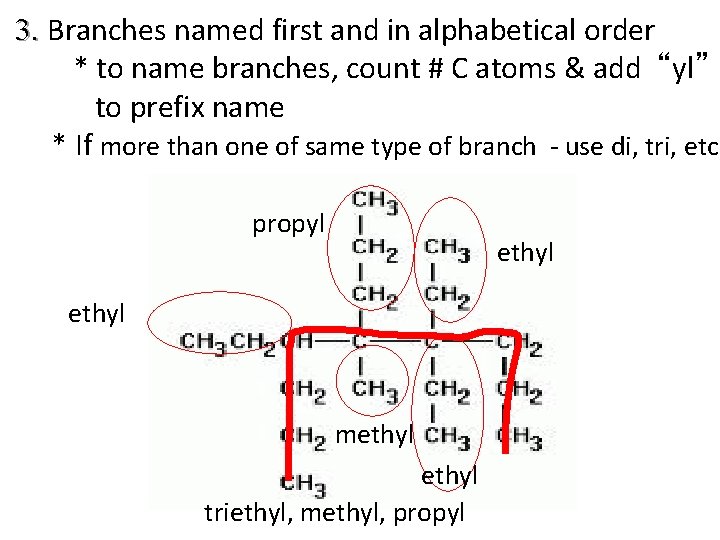 3. Branches named first and in alphabetical order * to name branches, count #