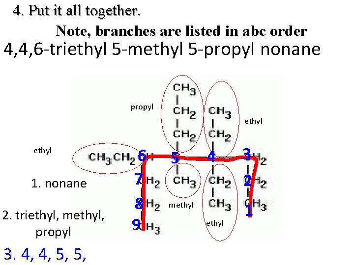 4. Put it all together. Note, branches are listed in abc order 4, 4,