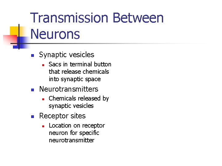 Transmission Between Neurons n Synaptic vesicles n n Neurotransmitters n n Sacs in terminal