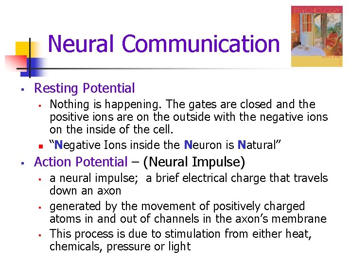 Neural Communication § Resting Potential § n § Nothing is happening. The gates are