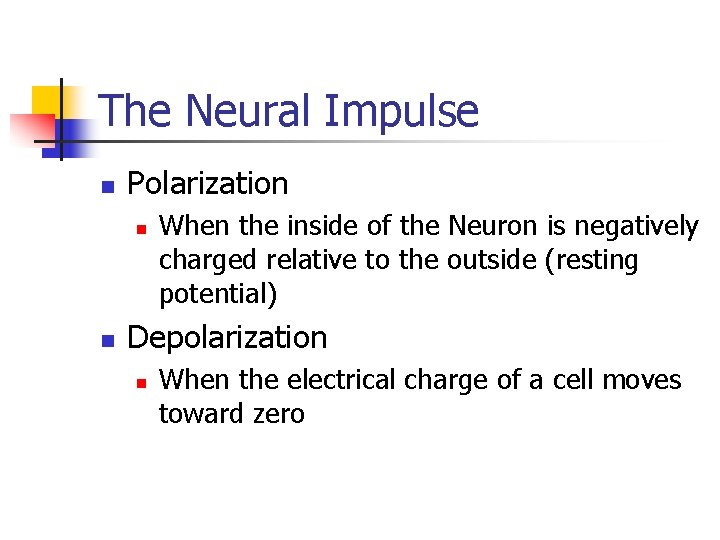 The Neural Impulse n Polarization n n When the inside of the Neuron is