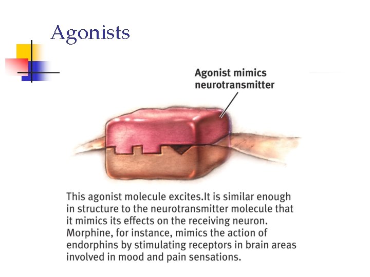Agonists 