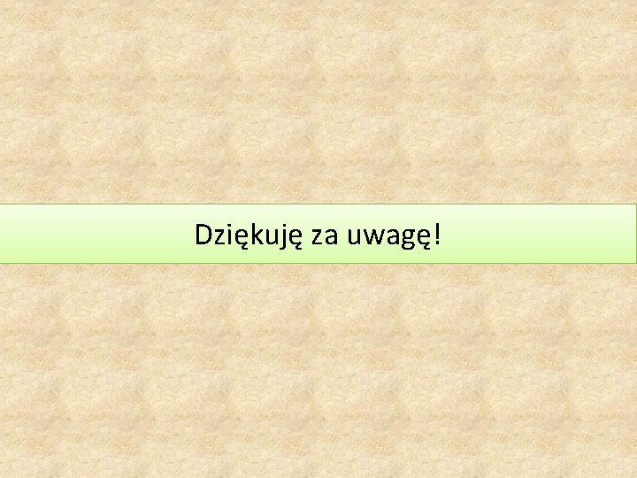 Dziękuję za uwagę! 