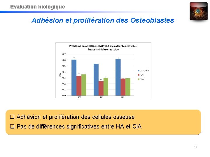 Evaluation biologique Adhésion et prolifération des Osteoblastes Adhésion et prolifération des cellules osseuse Pas