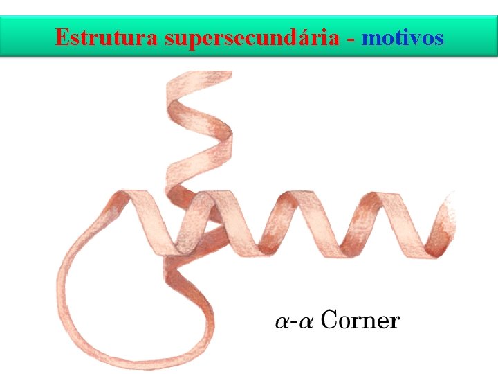 Estrutura supersecundária - motivos 