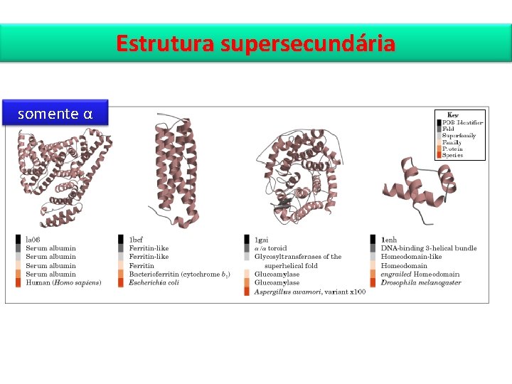Estrutura supersecundária somente α 