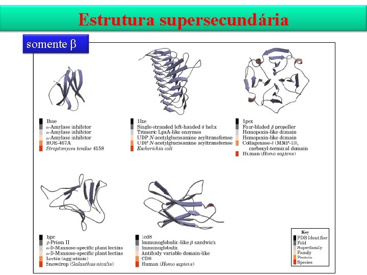 Estrutura supersecundária somente β 